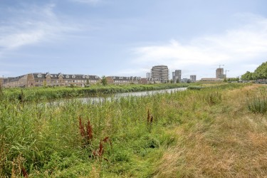 Omgeving