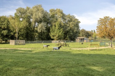 Omgeving