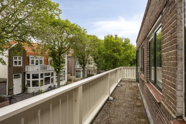 Tuin