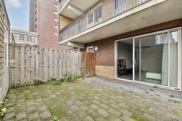 Tuin
