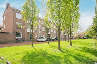 Extra foto's