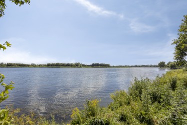 Omgeving