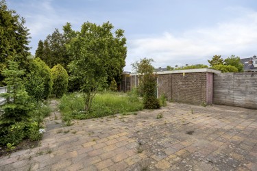 Tuin