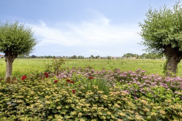 Tuin