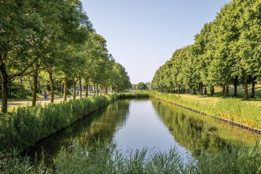 Omgeving