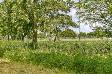 Extra foto's