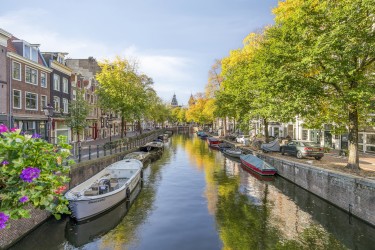 Prettig wonen