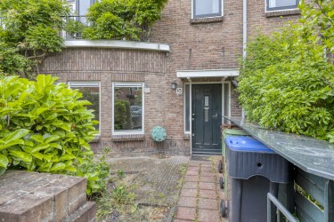 Tuin