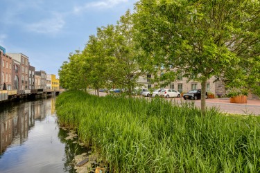 Omgeving