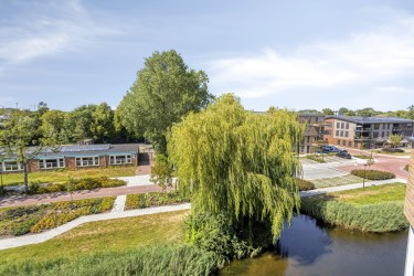 Omgeving