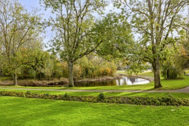 Groen uitzicht op park