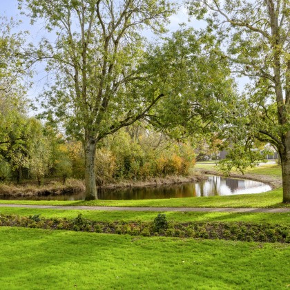 Groen uitzicht op park
