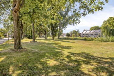 Omgeving