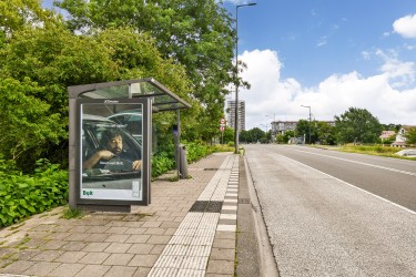 Omgeving