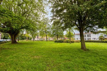 Omgeving