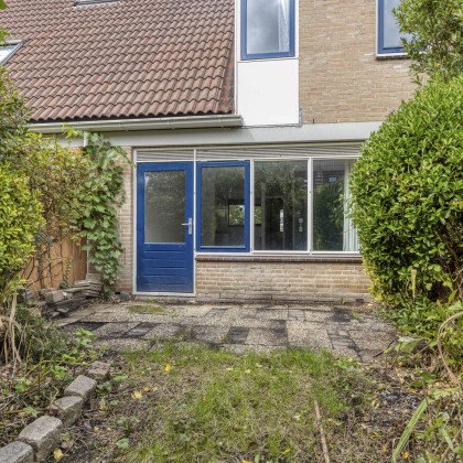 Zonnige tuin