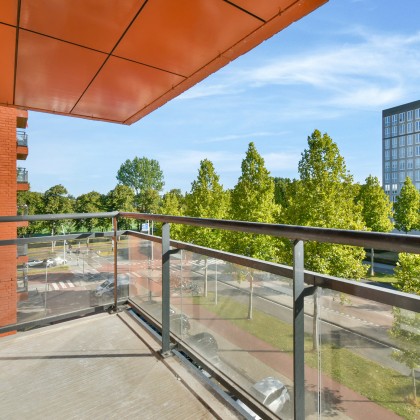 Fijne omgeving