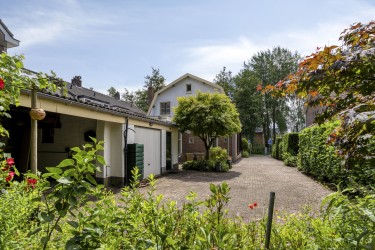 Tuin