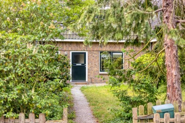 Tuin