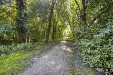Omgeving