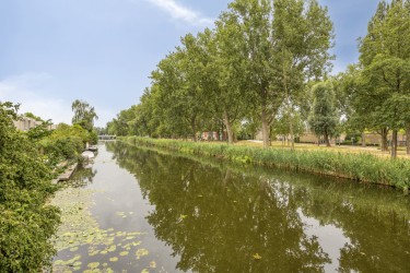 Omgeving