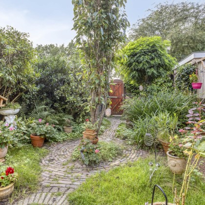 Groene tuin