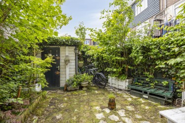 Zonnige tuin
