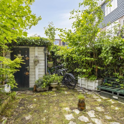 Zonnige tuin