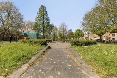 Veel groen