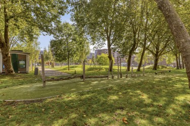 Veel groen