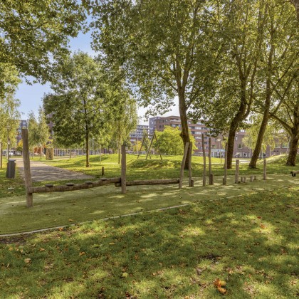 Veel groen
