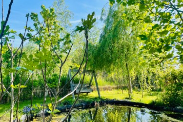 Tuin