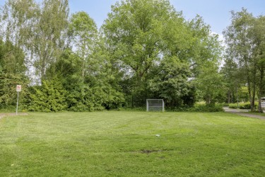 Omgeving