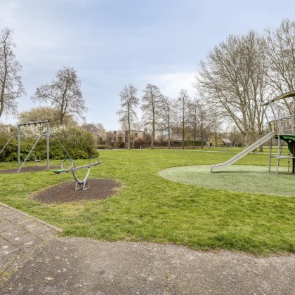 Aan de rand van het Purmerbos