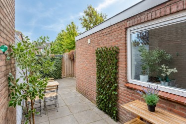 Gezellige tuin