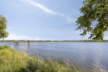 Omgeving