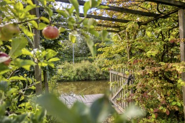 Tuin