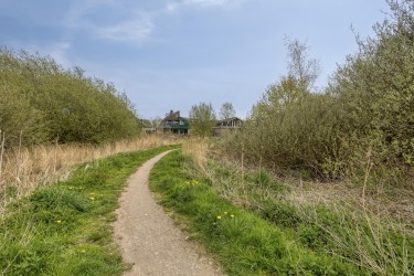 Omgeving
