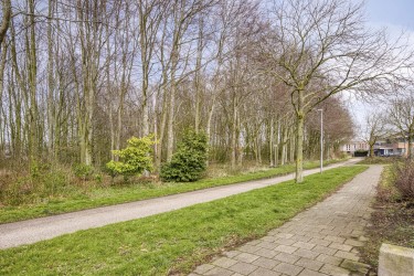 Extra foto's