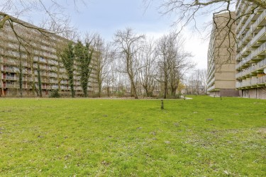 Extra foto's