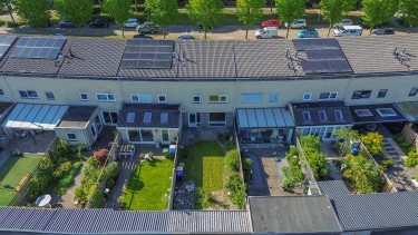 Tuin