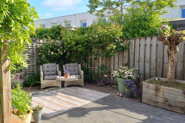 Tuin