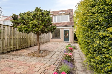 Tuin