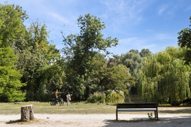 Omgeving