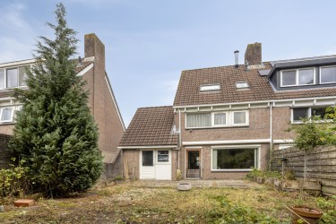 Tuin
