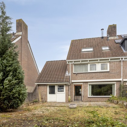 Zonnige tuin