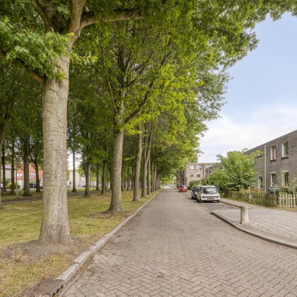Vrije ligging