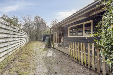 Tuin