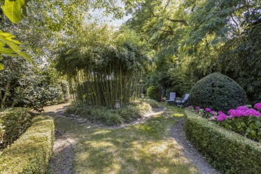 Tuin