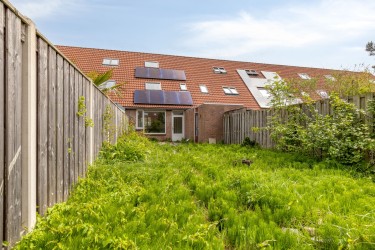 Tuin